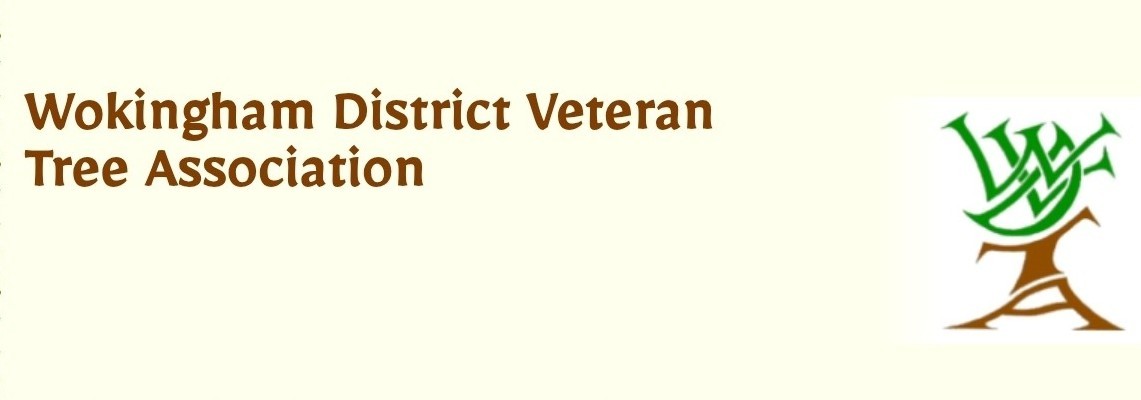 Wokingham District Veteran Tree Association AGM